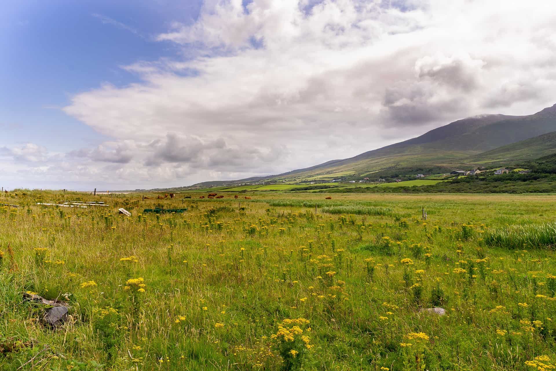 Ireland in April – All the Local Advice You Need